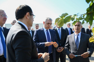 Ağdərənin Çaylı kəndində “Frutti Aqro” MMC tərəfindən salınmış intensiv meyvə bağına baxış keçirilib