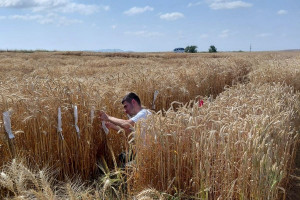 Aqrar sığorta eksperti olmaq istəyənlər üçün növbəti təlimlər keçirilib