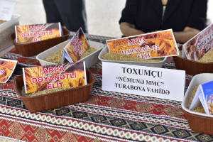 Xaçmazda Aqrar Biznes Festivalı və Şaftalı Festivalı keçirilib