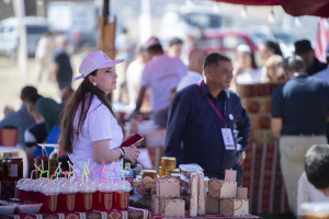 Göygöldə Aqrar Biznes Festivalı  və II Moruq Festivalı keçirilib