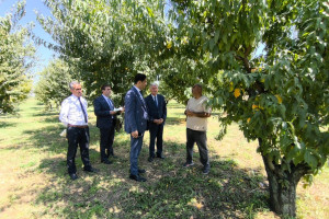 Aqrar Sığorta Fondunun sədri Fuad Sadıqov Şərurda vətəndaşlarla görüşüb, təsərrüfatlara baş çəkib