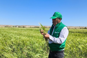 Aqrar Sığorta Fondu təsərrüfatlara dəyən zərərləri qiymətləndirir