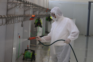 Qurban bayramı ilə əlaqədar heyvan satışı və kəsimi yerlərində profilaktiki tədbirlər görülüb