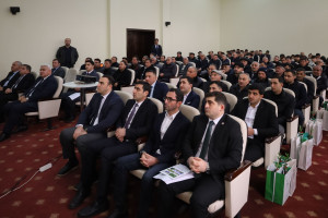Fermerlərə “İntensiv meyvə bağlarının salınması və idarə olunması texnologiyaları” mövzusunda təlim keçirilib