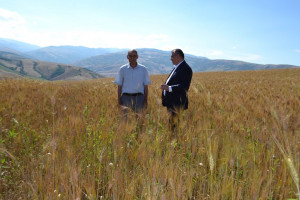 Kənd təsərrüfatı nazirinin müavini Zaur Əliyev Yardımlıda vətəndaşlarla görüşüb, təsərrüfatlara baş çəkib