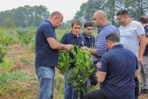 Astarada beynəlxalq ekspertin iştirakı ilə müasir suvarma sistemləri üzrə sahə görüşü keçirilib
