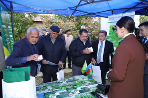 Şabran rayonunda Aqrar Biznes Festivalı və toxum sərgi-satış yarmarkası keçirilib