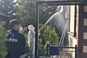 Xaçmazda qəhvəyi mərmər bağacığının qışlama dövrü ilə əlaqədar kompleks mübarizə tədbirləri həyata keçirilir