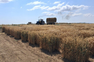 Aqrar sığorta eksperti olmaq istəyənlər üçün növbəti təlimlər keçirilib