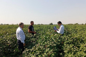 Dövlət Proqramının icrası çərçivəsində aqrar sahədə insan kapitalının inkişafına yönəlmiş tədbirlər davam etdirilir