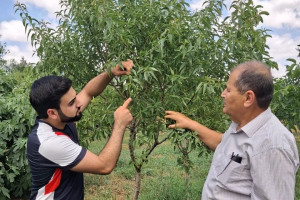 Aqrar sığorta eksperti olmaq istəyənlər üçün növbəti təlimlər keçirilib