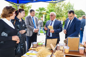 Tovuzda Aqrar Biznes Festivalı və Toxum Sərgi-Satış Yarmarkası keçirilib