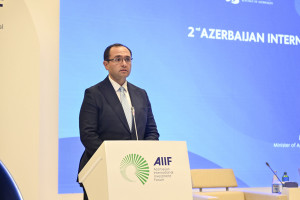 Nazir Məcnun Məmmədov “II Azərbaycan Beynəlxalq İnvestisiya Forumu” çərçivəsində keçirilən panel sessiyada çıxış edib