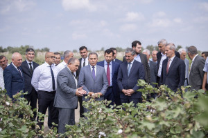 Salyanda “Pambıqçılıqda mövcud vəziyyət və məhsul yığımına hazırlıq” mövzusunda növbəti regional müşavirə keçirilib