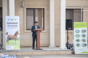 Azərbaycanda Qarabağ atlarının biomaterial bankı yaradılıb