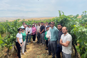 Aqrar sığorta eksperti olmaq istəyən namizədlər üçün növbəti təlimlər keçirilib