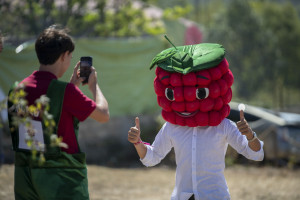 Göygöldə Aqrar Biznes Festivalı  və II Moruq Festivalı keçirilib