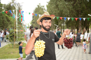 Azərbaycanda ilk dəfə olaraq “Albalı və gilas” festivalı keçirilib