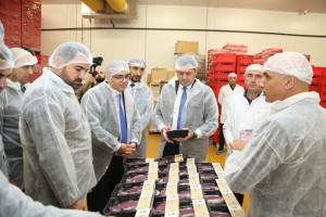Kənd Təsərrüfatı Nazirliyi ilə Veysəloğlu Şirkətlər Qrupu arasında  işgüzar görüş keçirilib
