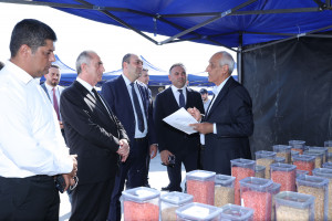 Hacıqabulda növbəti Aqrar Biznes Festivalı və toxum sərgi-satış yarmarkası keçirilib