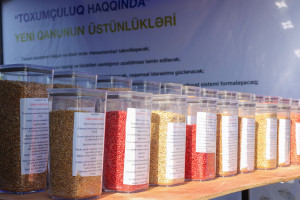 Ağcabədidə Aqrar Biznes Festivalı və mövsümün ilk Toxum Sərgi-Satış Yarmarkası keçirilib