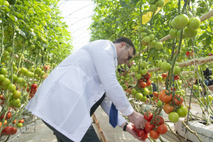 Field trips to innovative farms organized within the framework of the “Caspian Agro Week” exhibition
