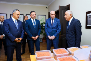 Goranboyda “Aqrar sahədə dövlət dəstəyi mexanizmləri” mövzusunda panel müzakirəsi keçirilib