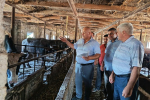 Dövlət Proqramının prioritet istiqamətləri üzrə fermerlərin maarifləndirilməsi davam etdirilir