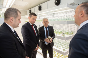 Latviya nümayəndə heyəti Tərəvəzçilik Elmi-Tədqiqat İnstitutunun fəaliyyəti ilə tanış olub