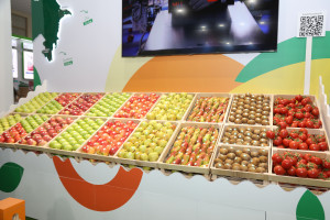 Presidential Assistants Shahmar Movsumov and Khalid Ahadov Visited the Caspian Agro 2026 and InterFood Azerbaijan Exhibitions