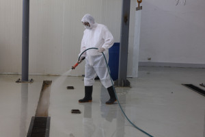 Qurban bayramı ilə əlaqədar heyvan satışı və kəsimi yerlərində profilaktiki tədbirlər görülüb