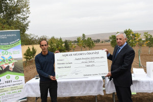 Aqrar Sığorta Fondu fermerlərə sığorta ödənişlərini davam etdirir
