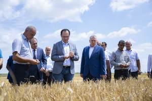 Nazir Məcnun Məmmədov Sabirabadda taxıl biçinində iştirak edib, fermerlərlə görüşüb