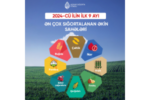 Bu ilin ilk doqquz ayı ərzində Azərbaycanda 405 604 hektar əkin sahəsi sığortalanıb