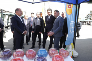Xankəndi şəhərində Aqrar Biznes Festivalı və toxum sərgi-satış yarmarkası keçirilib