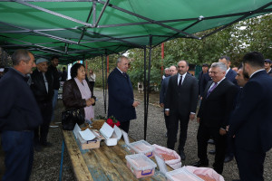 Şabran rayonunda Aqrar Biznes Festivalı və toxum sərgi-satış yarmarkası keçirilib