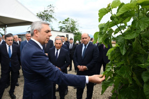 Xocalının Daşbulaq kəndində baramaçılığın inkişafı üçün yaradılmış infrastruktura baxış keçirilib