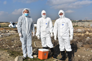 Ölkəmizdə xüsusi təhlükəli heyvan xəstəliklərinə qarşı profilaktik peyvəndləmə tədbirləri davam etdirilir