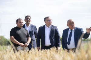 Nazir müavini Zaur Əliyev Ağcabədidə taxıl biçini prosesini izləyib, fermerlərlə görüşüb