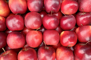 “Kənddən Şəhərə” Yeni il yarmarkaları fəaliyyətə başlayıb