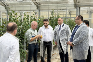 The Azerbaijani delegation got acquainted with the activities of agricultural educational institutions, agricultural companies and leading farms of the Netherlands