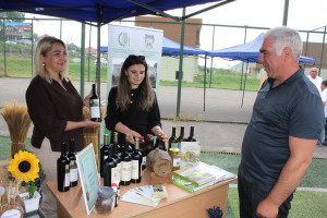 Daşkəsəndə Aqroturizm və Aqrar Biznes Festivalı keçirilib