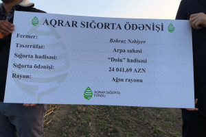 Ağsu və İsmayıllı rayonlarında fermerlərə aqrar sığorta ödənişləri edilib