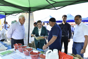 Ağsu və Zərdabda növbəti toxum sərgi-satış yarmarkaları keçirilib