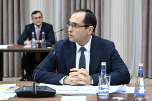 İqtisadi Şuranın Aqrar sahənin inkişafına həsr olunmuş iclası keçirilib