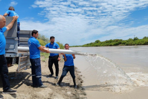 Neftçalada Xəzər dənizinə 400 min ədəd nərə cinsli balıq körpəsi buraxılıb