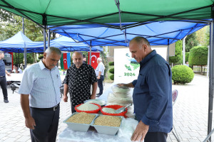 Masallı və Neftçalada növbəti toxum sərgi-satış yarmarkaları keçirilib