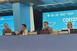 Azərbaycan nümayəndə heyəti FAO-nun Balıqçılıq Komitəsinin 37-ci sessiyasında iştirak edir