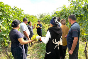 Dövlət Proqramının icrası çərçivəsində aqrar sahədə insan kapitalının inkişafına yönəlmiş tədbirlər davam etdirilir