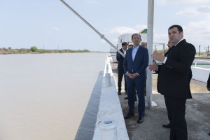 Nazir Məcnun Məmmədov Neftçalada “Xıllı balıq" MMC-nin fəaliyyəti ilə tanış olub